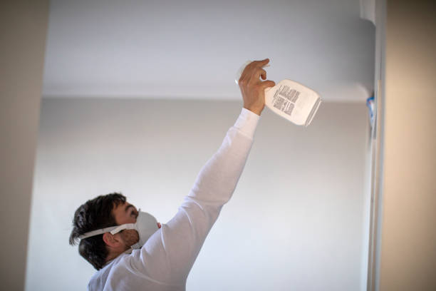 Reliable Harbor Beach, MI Mold Remediation Solutions