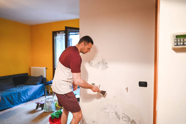 Best Mold Remediation for Schools in Harbor Beach, MI